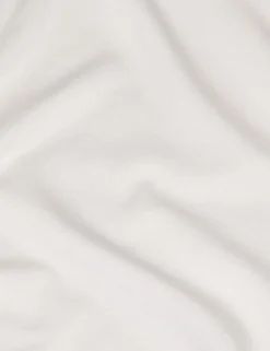 Egret