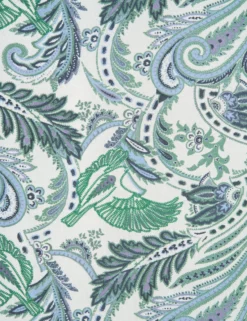 Paisley Shirt